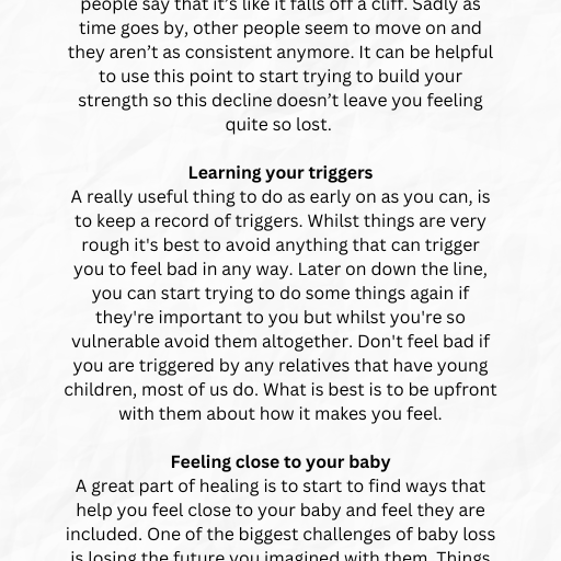 PARENTS GUIDE TO BABY LOSS